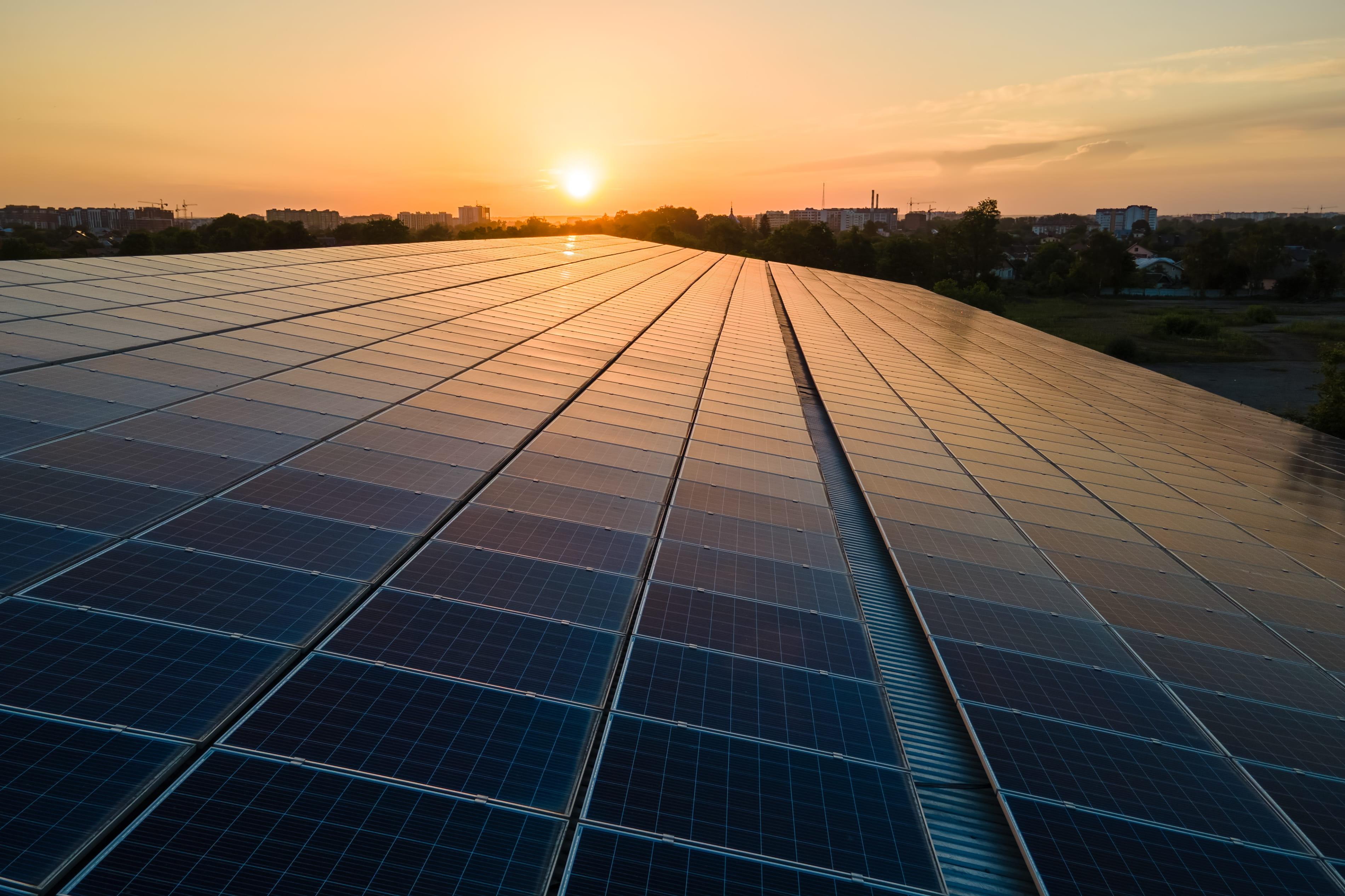 Large roof at sunset after commercial solar panel installation in Essex